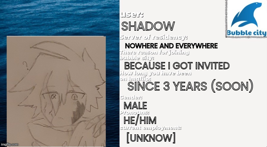 Passport | SHADOW; NOWHERE AND EVERYWHERE; BECAUSE I GOT INVITED; SINCE 3 YEARS (SOON); MALE; HE/HIM; [UNKNOW] | image tagged in official bubble city passport template | made w/ Imgflip meme maker