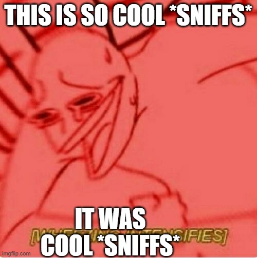THIS IS SO COOL *SNIFFS* IT WAS COOL *SNIFFS* | image tagged in wheeze | made w/ Imgflip meme maker