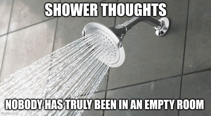 Shower thoughts | SHOWER THOUGHTS; NOBODY HAS TRULY BEEN IN AN EMPTY ROOM | image tagged in shower thoughts | made w/ Imgflip meme maker