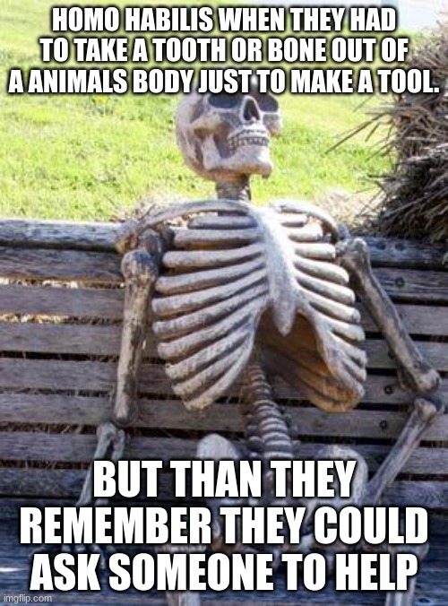 Waiting Skeleton | HOMO HABILIS WHEN THEY HAD TO TAKE A TOOTH OR BONE OUT OF A ANIMALS BODY JUST TO MAKE A TOOL. BUT THAN THEY REMEMBER THEY COULD ASK SOMEONE TO HELP | image tagged in memes,waiting skeleton | made w/ Imgflip meme maker