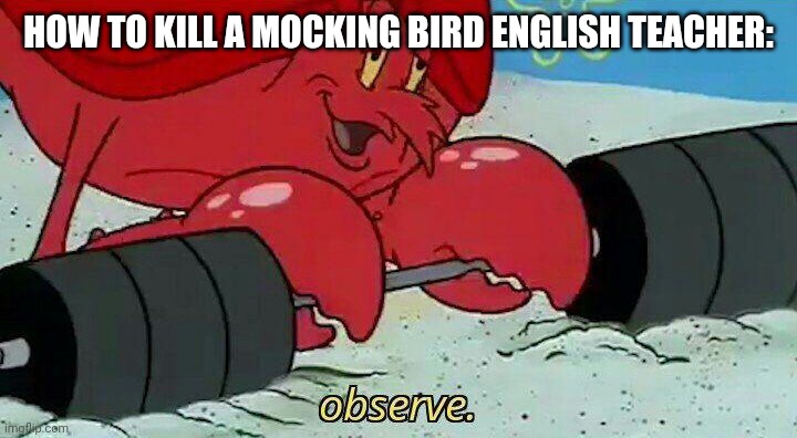 HOW TO KILL A MOCKING BIRD ENGLISH TEACHER: | image tagged in observe | made w/ Imgflip meme maker