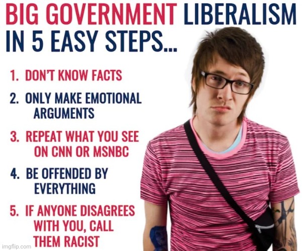 Liberals can count to 5 ? | image tagged in stupid liberals,crying,whining,annoying,parasites,woke | made w/ Imgflip meme maker
