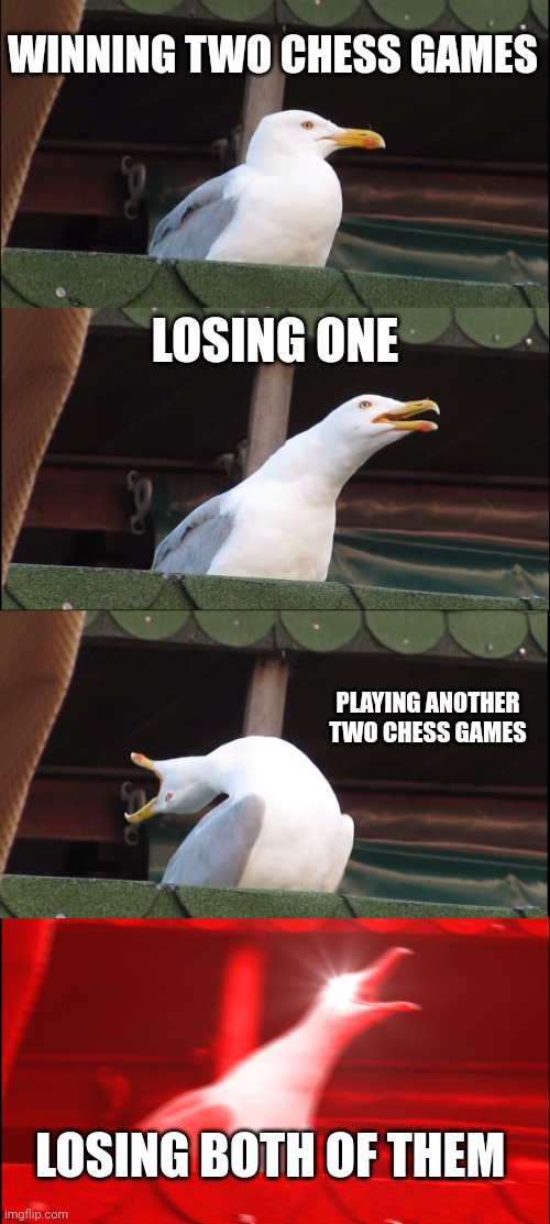 Feel of every chess player | WINNING TWO CHESS GAMES; LOSING ONE; PLAYING ANOTHER TWO CHESS GAMES; LOSING BOTH OF THEM | image tagged in memes,inhaling seagull | made w/ Imgflip meme maker