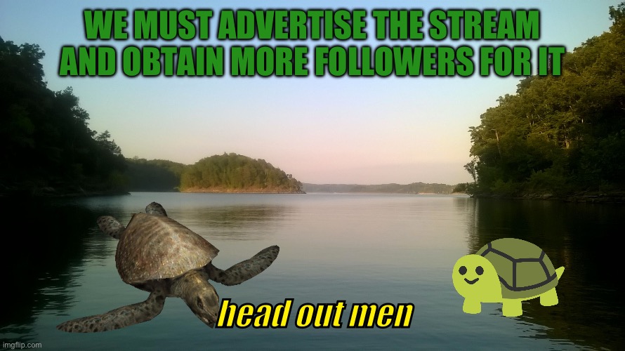 The Turtle Army | WE MUST ADVERTISE THE STREAM AND OBTAIN MORE FOLLOWERS FOR IT; head out men | image tagged in lake | made w/ Imgflip meme maker