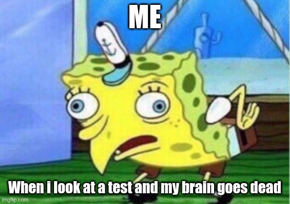 Mocking Spongebob Meme | ME; When i look at a test and my brain goes dead | image tagged in memes,mocking spongebob | made w/ Imgflip meme maker