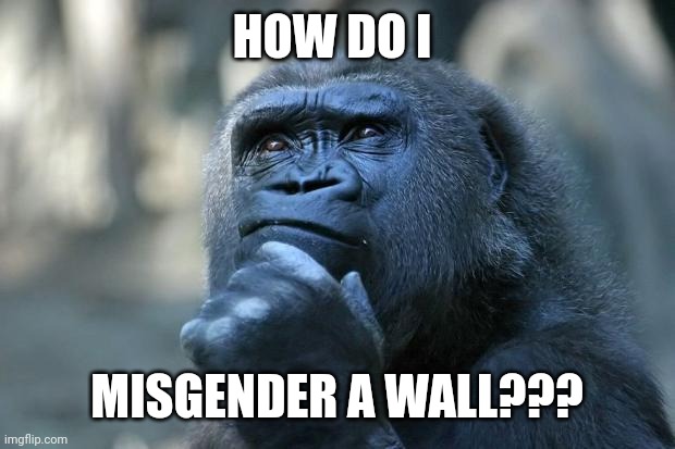 Deep Thoughts | HOW DO I MISGENDER A WALL??? | image tagged in deep thoughts | made w/ Imgflip meme maker