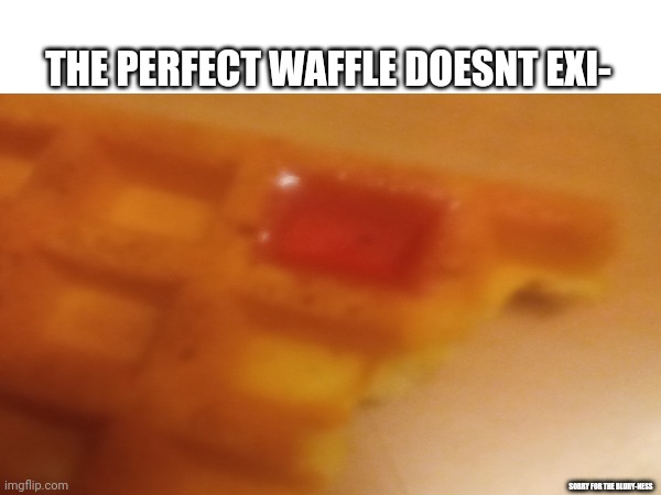 THE PERFECT WAFFLE DOESNT EXI-; SORRY FOR THE BLURY-NESS | image tagged in perfection | made w/ Imgflip meme maker