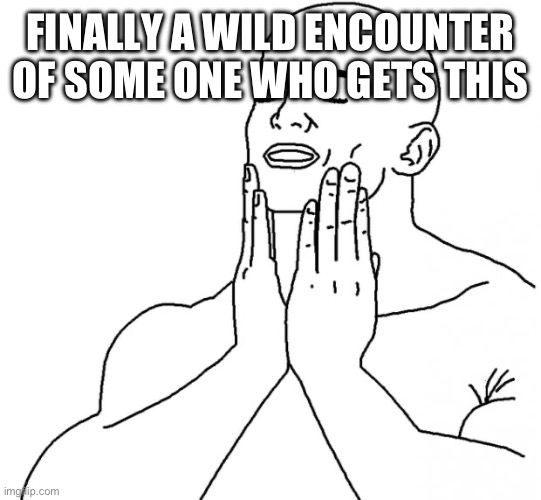 Feels Good Man | FINALLY A WILD ENCOUNTER OF SOME ONE WHO GETS THIS | image tagged in feels good man | made w/ Imgflip meme maker