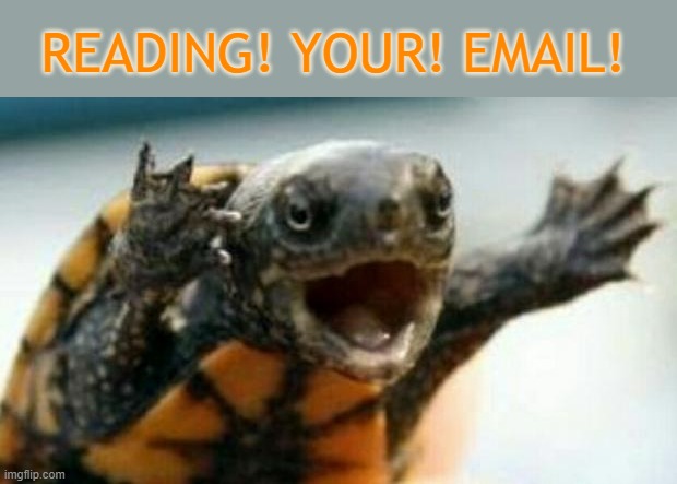 Spam bad: friendly emails are tasty lettuce | READING! YOUR! EMAIL! | image tagged in turtle say what,email,friends | made w/ Imgflip meme maker