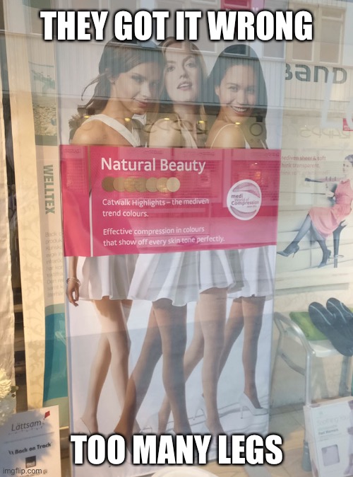 Advert with women | THEY GOT IT WRONG; TOO MANY LEGS | image tagged in how many legs,window advert,too many legs,you had one job | made w/ Imgflip meme maker