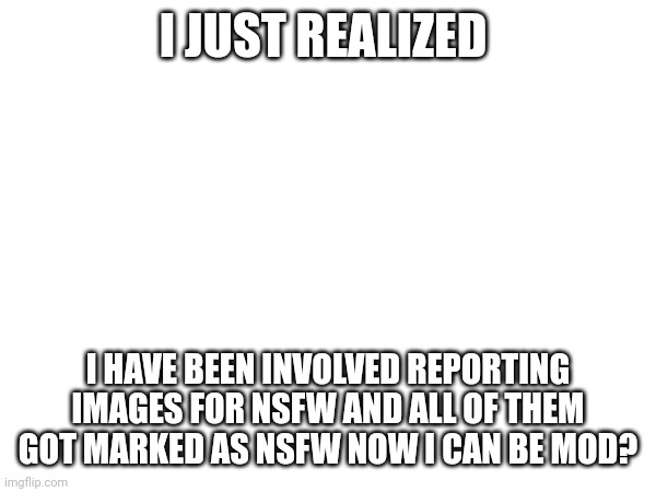 I JUST REALIZED; I HAVE BEEN INVOLVED REPORTING IMAGES FOR NSFW AND ALL OF THEM GOT MARKED AS NSFW NOW I CAN BE MOD? | made w/ Imgflip meme maker