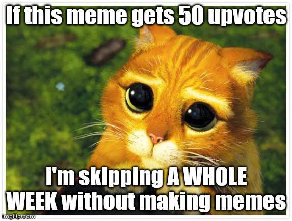 Yes, I'm getting tired of these daily memes | If this meme gets 50 upvotes; I'm skipping A WHOLE WEEK without making memes | image tagged in sorry kitty,memes,afk | made w/ Imgflip meme maker