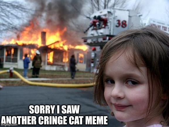 Disaster Girl | SORRY I SAW ANOTHER CRINGE CAT MEME | image tagged in memes,disaster girl | made w/ Imgflip meme maker