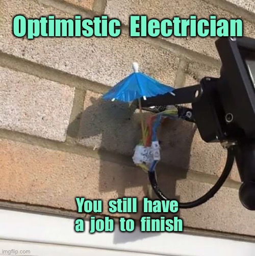 Electricians | Optimistic  Electrician; You  still  have  a  job  to  finish | image tagged in optimistic,electrician,he had one job | made w/ Imgflip meme maker