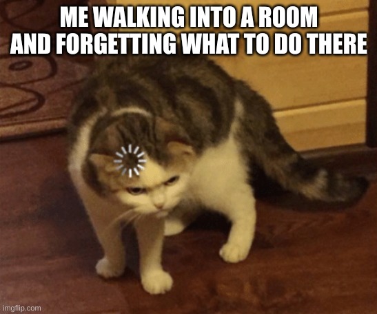 lag | ME WALKING INTO A ROOM AND FORGETTING WHAT TO DO THERE | image tagged in lag cat | made w/ Imgflip meme maker