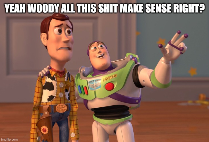X, X Everywhere Meme | YEAH WOODY ALL THIS SHIT MAKE SENSE RIGHT? | image tagged in memes,x x everywhere | made w/ Imgflip meme maker