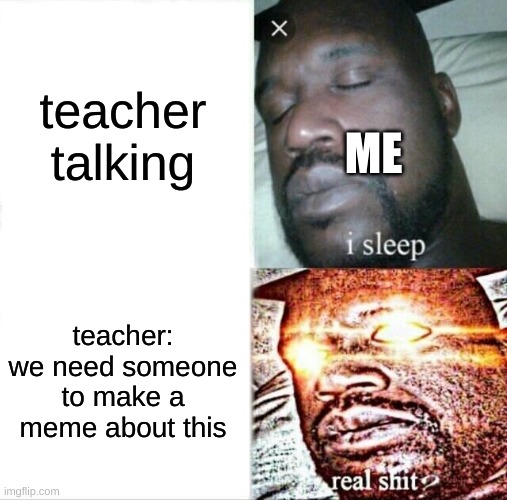 my teacher said this it's true | teacher talking; ME; teacher: we need someone to make a meme about this | image tagged in memes,sleeping shaq | made w/ Imgflip meme maker