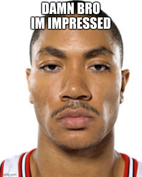 Derrick Rose Straight Face | DAMN BRO IM IMPRESSED | image tagged in derrick rose straight face | made w/ Imgflip meme maker