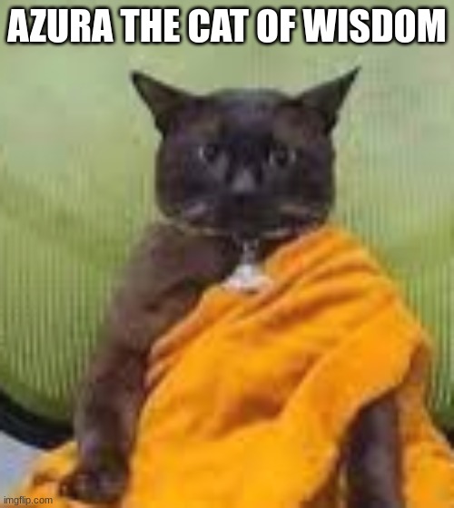 Azura | AZURA THE CAT OF WISDOM | image tagged in cat,boss,funny memes,funny,dank memes,dank | made w/ Imgflip meme maker