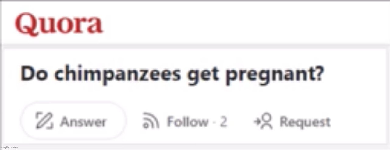 Stupid fucking Quora questions #2 | made w/ Imgflip meme maker