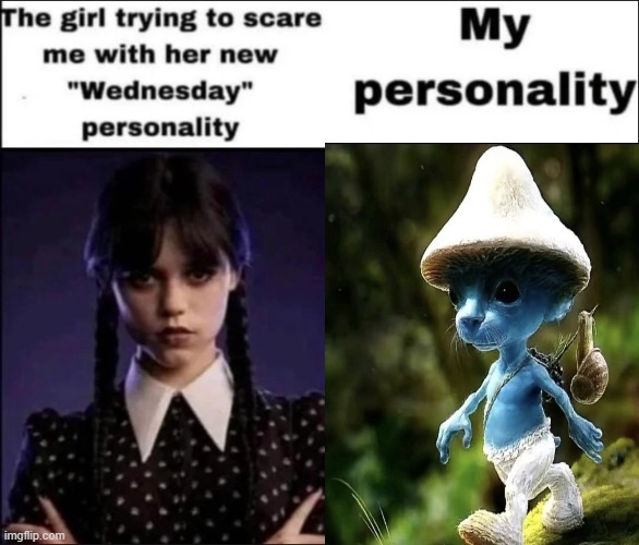 The girl trying to scare me with her new Wednesday personality | image tagged in the girl trying to scare me with her new wednesday personality | made w/ Imgflip meme maker