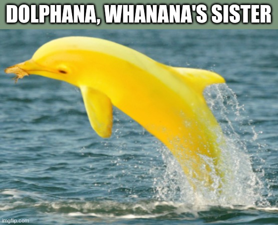 Dolphana | DOLPHANA, WHANANA'S SISTER | image tagged in dolphin,banana,boss,memes,if you read this tag you are cursed,jk | made w/ Imgflip meme maker