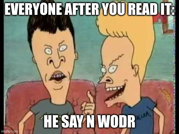 Beavis & Butt-Head he said | EVERYONE AFTER YOU READ IT: HE SAY N WODR | image tagged in beavis butt-head he said | made w/ Imgflip meme maker