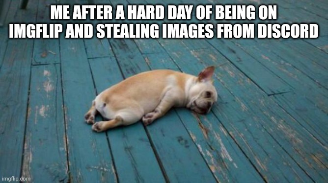 Relatable | ME AFTER A HARD DAY OF BEING ON IMGFLIP AND STEALING IMAGES FROM DISCORD | image tagged in tired dog | made w/ Imgflip meme maker