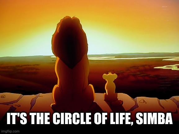 Lion King Meme | IT'S THE CIRCLE OF LIFE, SIMBA | image tagged in memes,lion king | made w/ Imgflip meme maker