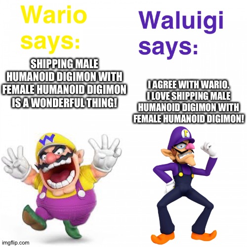 Wario and Waluigi enjoy shipping Male Humanoid Digimon with Female Humanoid Digimon | SHIPPING MALE HUMANOID DIGIMON WITH FEMALE HUMANOID DIGIMON IS A WONDERFUL THING! I AGREE WITH WARIO. I LOVE SHIPPING MALE HUMANOID DIGIMON WITH FEMALE HUMANOID DIGIMON! | image tagged in views on wario and waluigi | made w/ Imgflip meme maker