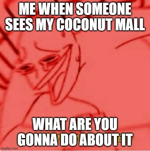 HA | ME WHEN SOMEONE SEES MY COCONUT MALL; WHAT ARE YOU GONNA DO ABOUT IT | image tagged in wheeze | made w/ Imgflip meme maker