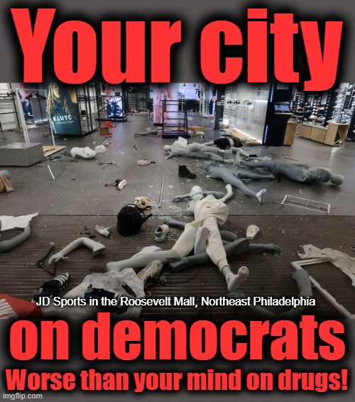 With their pro-crime policies, democrats are getting exactly what they wanted | Your city; JD Sports in the Roosevelt Mall, Northeast Philadelphia; on democrats; Worse than your mind on drugs! | image tagged in memes,philadelphia,looting,democrats,crime,joe biden | made w/ Imgflip meme maker