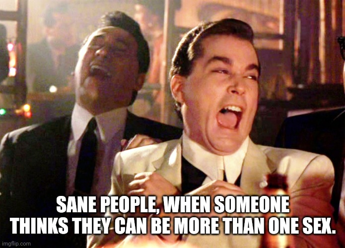 Good Fellas Hilarious Meme | SANE PEOPLE, WHEN SOMEONE THINKS THEY CAN BE MORE THAN ONE SEX. | image tagged in memes,good fellas hilarious | made w/ Imgflip meme maker