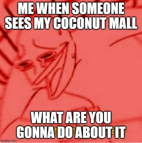 Wheeze | ME WHEN SOMEONE SEES MY COCONUT MALL; WHAT ARE YOU GONNA DO ABOUT IT | image tagged in wheeze | made w/ Imgflip meme maker