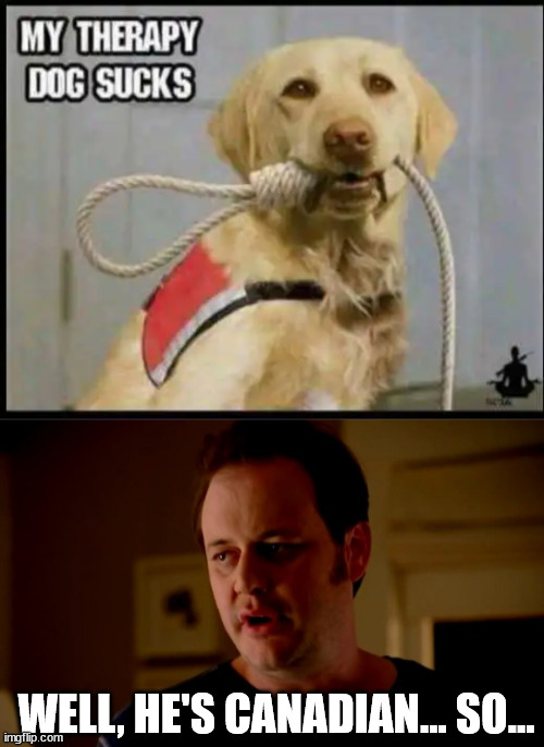 Does your therapy dog suck? Is it Canadian? | WELL, HE'S CANADIAN... SO... | image tagged in jake from state farm,canada,healthcare,euthanasia,help | made w/ Imgflip meme maker