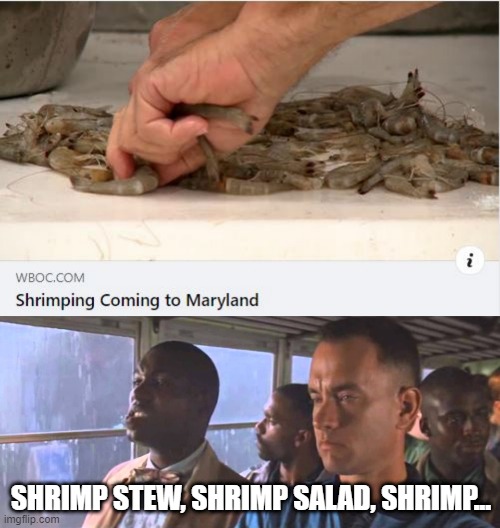 Shrimp | SHRIMP STEW, SHRIMP SALAD, SHRIMP... | image tagged in bubba gump | made w/ Imgflip meme maker