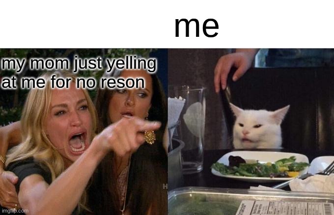 Woman Yelling At Cat | me; my mom just yelling at me for no reson | image tagged in memes,woman yelling at cat | made w/ Imgflip meme maker