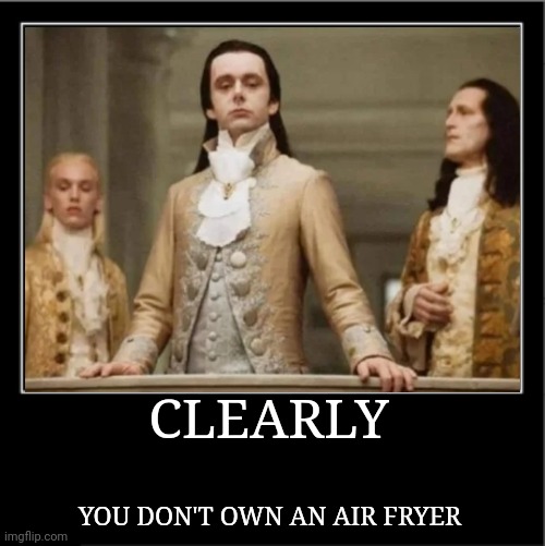 Demotivational poster | CLEARLY; YOU DON'T OWN AN AIR FRYER | image tagged in demotivational poster | made w/ Imgflip meme maker