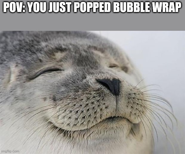 Satisfied Seal | POV: YOU JUST POPPED BUBBLE WRAP | image tagged in satisfied seal | made w/ Imgflip meme maker