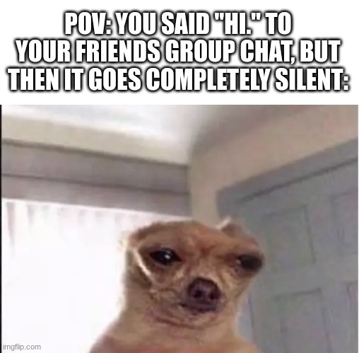 Ngl, this happened to me when I was in 6th grade. :/ | POV: YOU SAID "HI." TO YOUR FRIENDS GROUP CHAT, BUT THEN IT GOES COMPLETELY SILENT: | image tagged in group chats,dog,sad but true,sad | made w/ Imgflip meme maker