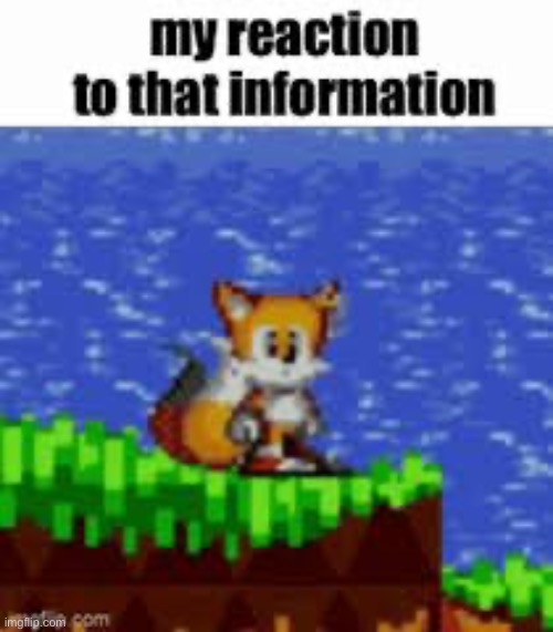 Tails my honest reaction | image tagged in tails my honest reaction | made w/ Imgflip meme maker