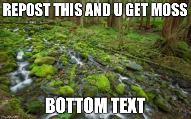 Moss | REPOST THIS AND U GET MOSS; BOTTOM TEXT | image tagged in moss,msmg,i love moss,i really love moss,i overly love moss,moss is amazing | made w/ Imgflip meme maker