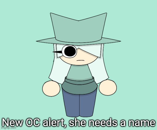 Her name is now Pamdu | New OC alert, she needs a name | image tagged in idk stuff s o u p carck | made w/ Imgflip meme maker