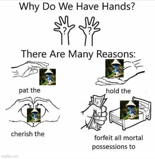 why do we have hands | image tagged in why do we have hands | made w/ Imgflip meme maker