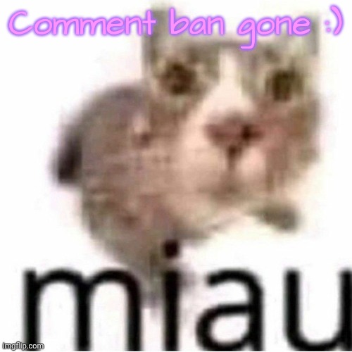 miau | Comment ban gone :) | image tagged in miau | made w/ Imgflip meme maker