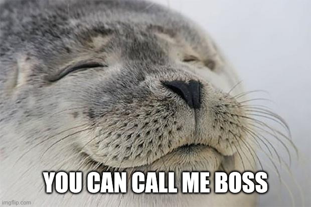 Satisfied Seal Meme | YOU CAN CALL ME BOSS | image tagged in memes,satisfied seal | made w/ Imgflip meme maker