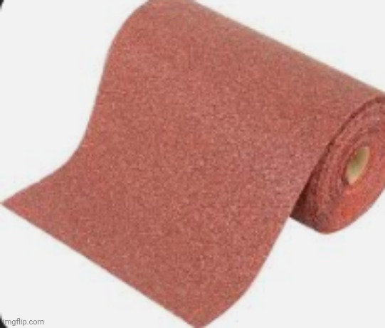 world most normal school toilet paper | image tagged in world most normal school toilet paper | made w/ Imgflip meme maker