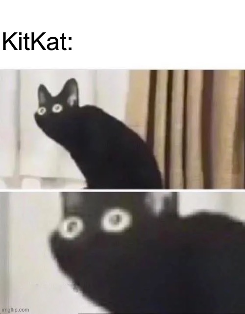 Oh No Black Cat | KitKat: | image tagged in oh no black cat | made w/ Imgflip meme maker