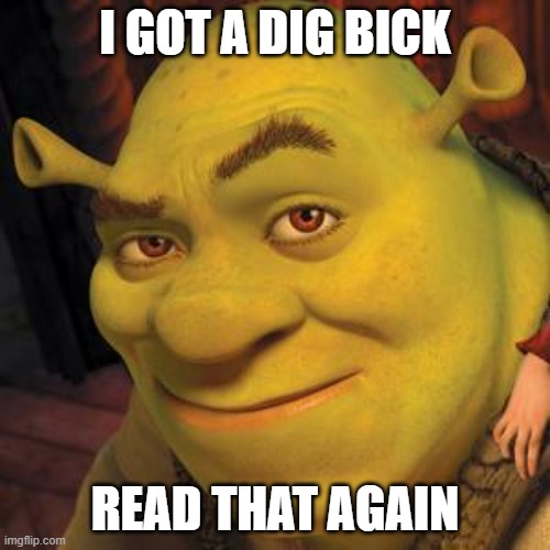 20/20 eye vision | I GOT A DIG BICK; READ THAT AGAIN | image tagged in shrek sexy face | made w/ Imgflip meme maker