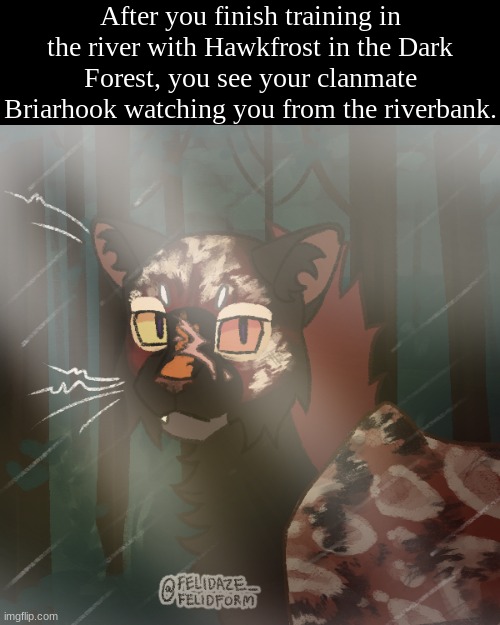 btw i have only read up to the fifth Omen of the Stars [romance allowed, no joke ocs or erp] | After you finish training in the river with Hawkfrost in the Dark Forest, you see your clanmate Briarhook watching you from the riverbank. | image tagged in warrior cats | made w/ Imgflip meme maker